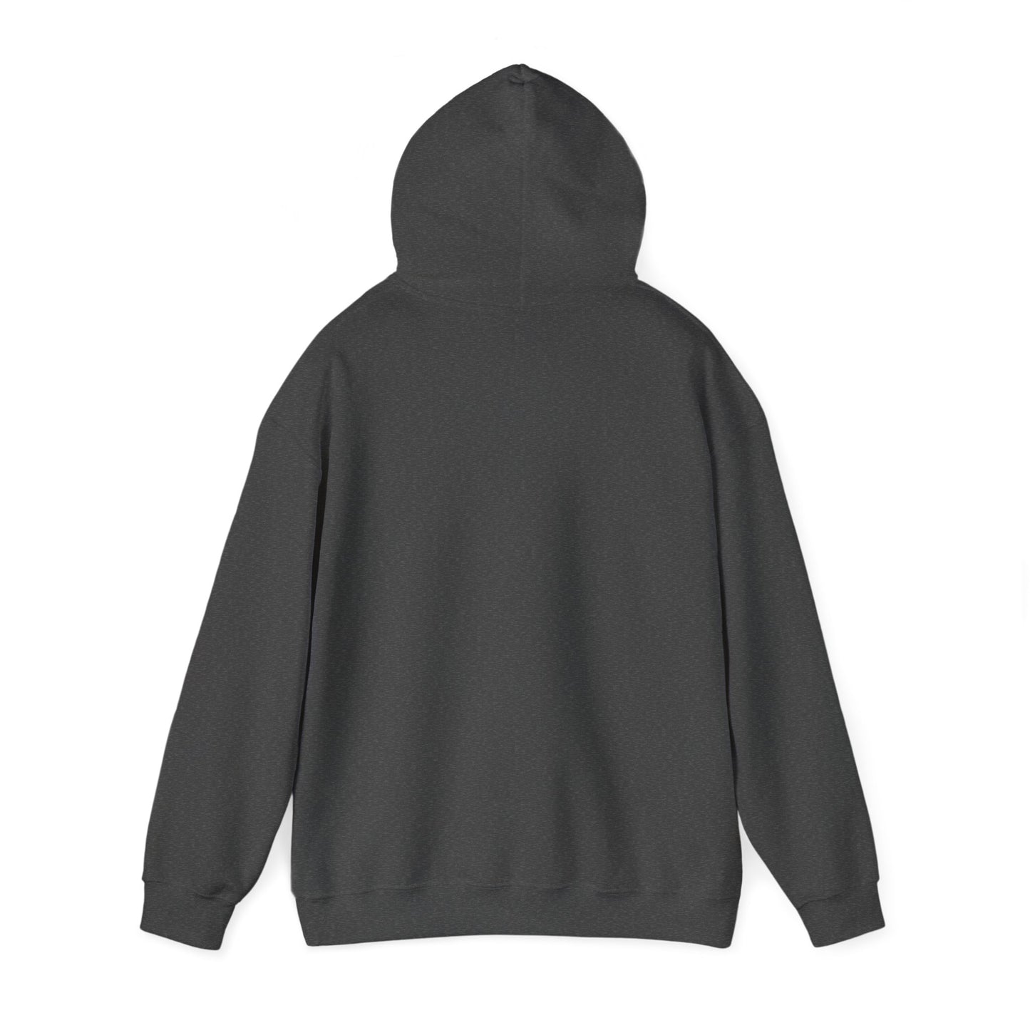 Retro Surf Hoodie | Classic Surfing Design | Surfer Gift